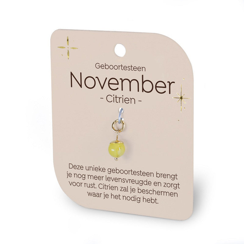 Geboortesteen Charm - November