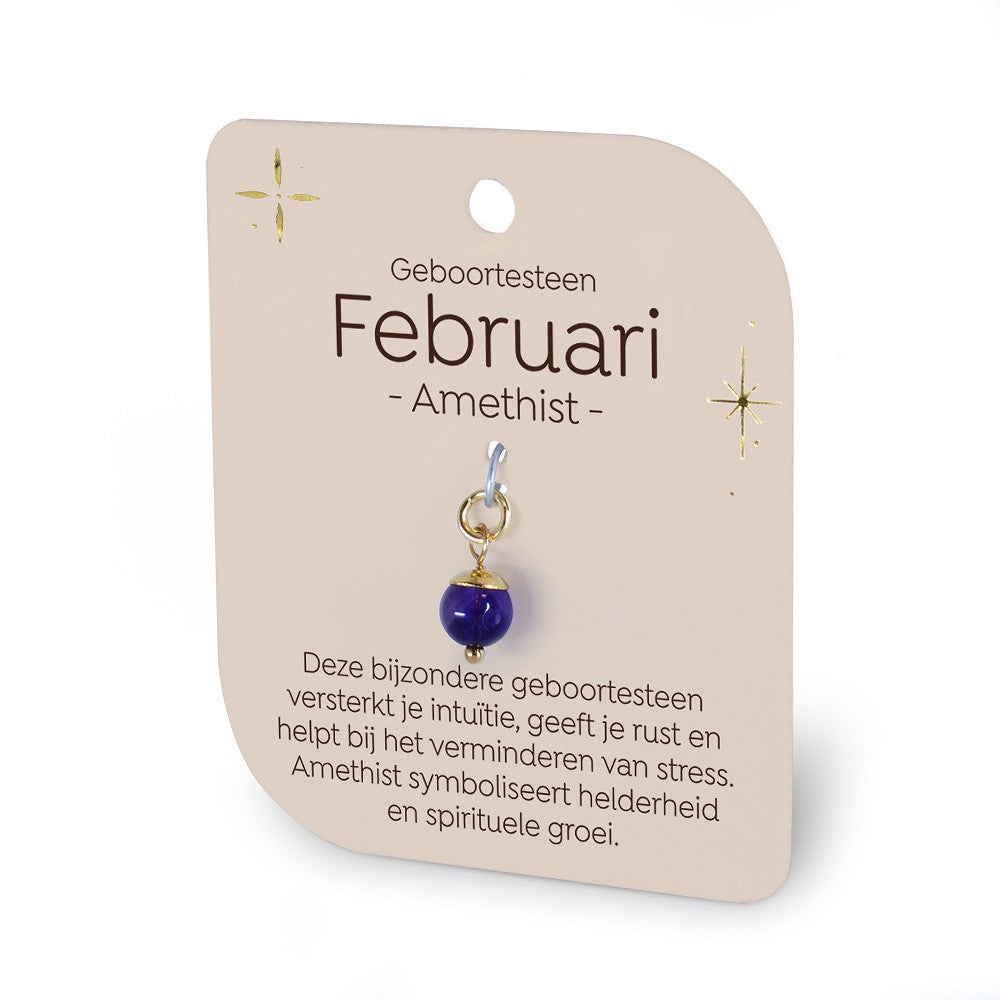 Geboortesteen Charm - Februari