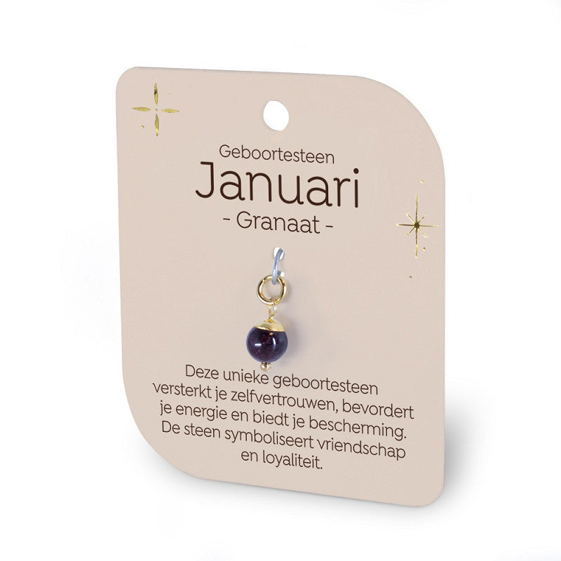 Geboortesteen Charm - Januari