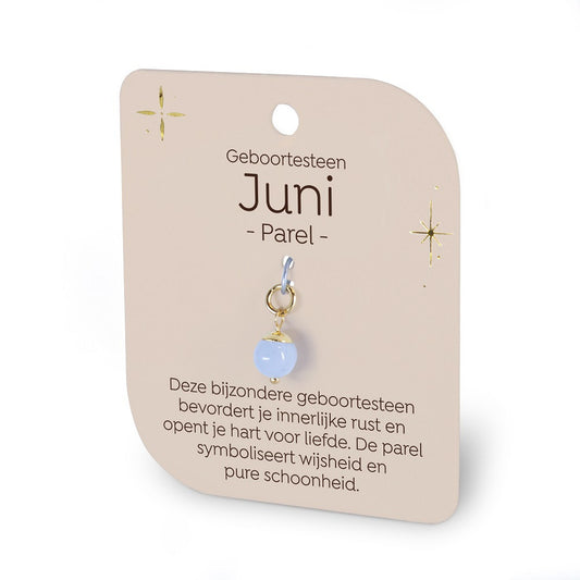 Geboortesteen Charm Juni