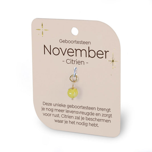 Geboortesteen Charm - November