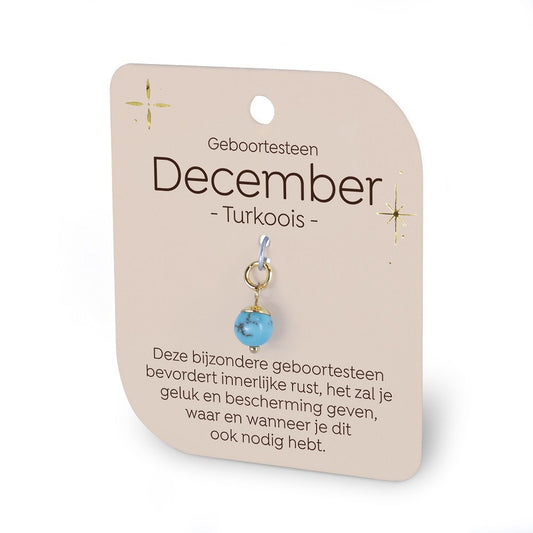 Geboortesteen Charm - December